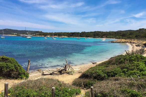 Porquerolles / Iles d'Or